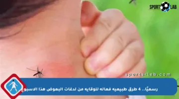 رسميًا.. 4 طرق طبيعية فعالة للوقاية من لدغات البعوض هذا الأسبوع